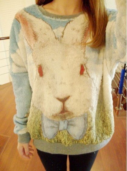 Rabbit Animal Cartoon Hoodies